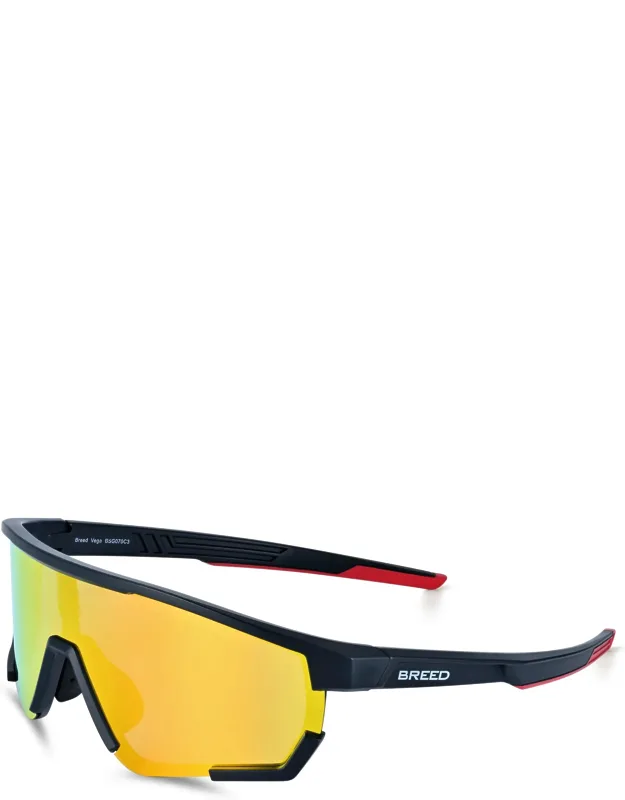 Polarized Sunglasses