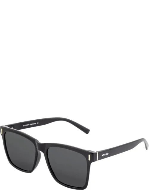 Pictor Polarized Sunglass