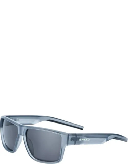 Axion Polarized Sunglasses