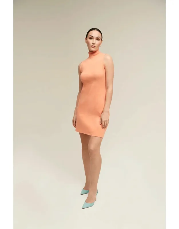 Sleeveless Mock Neck Dress