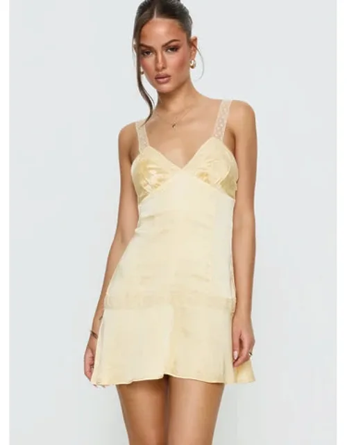 Sybelle Lace Drop Waist Mini Dress