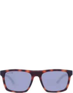 Dark Grey Square Sunglasses L957s 230