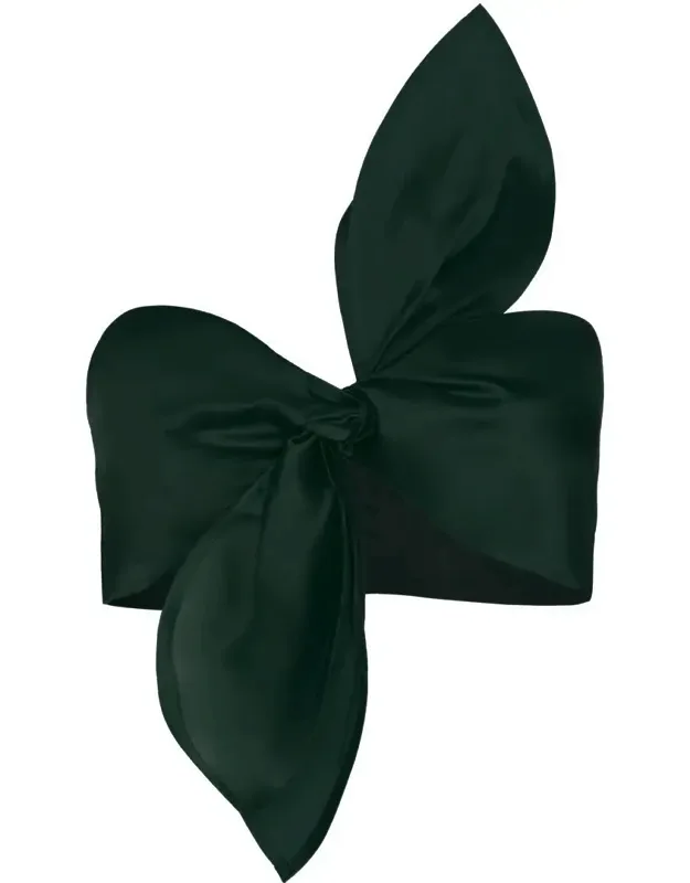 Suspiro Tie Detailed Silk Organza Crop Top
