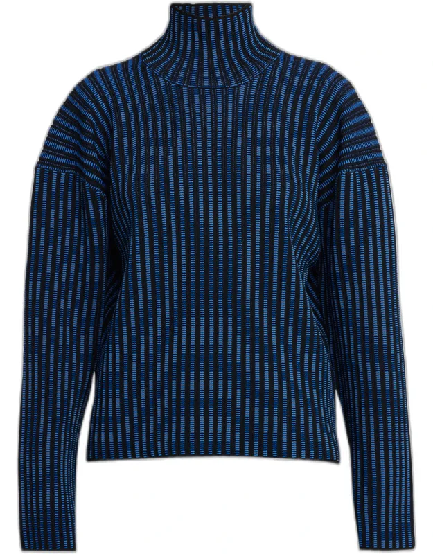 Ladder Stripe Turtleneck Sweater