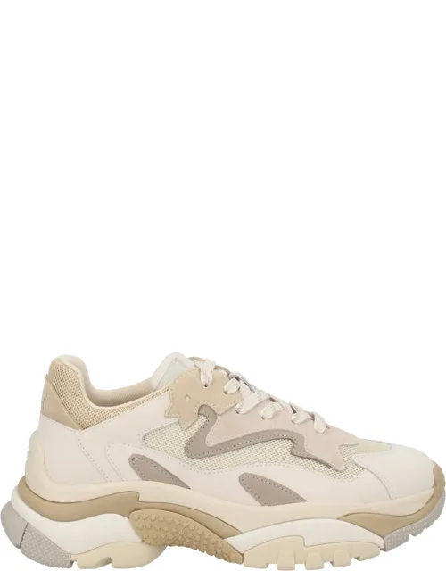 Sneaker "addict"