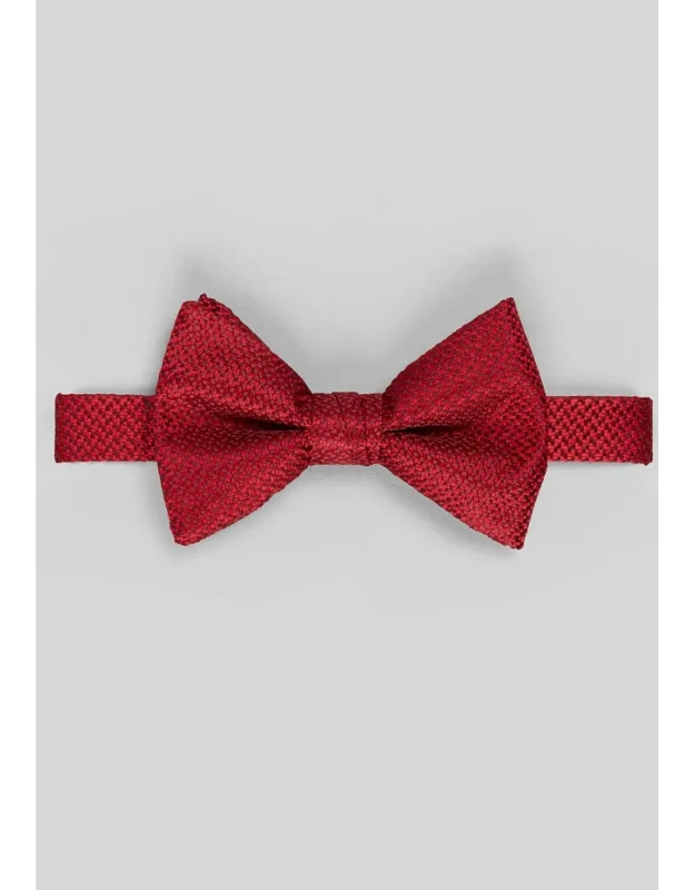 Satiny Natte Solid Big Bow Tie