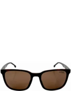 Brown Square Sunglasses 8046/s 0n9p/70