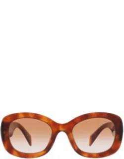 Gradient Oval Sunglasses