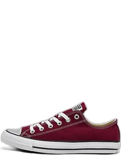 Chuck Taylor All Star Low Top Casual Shoes