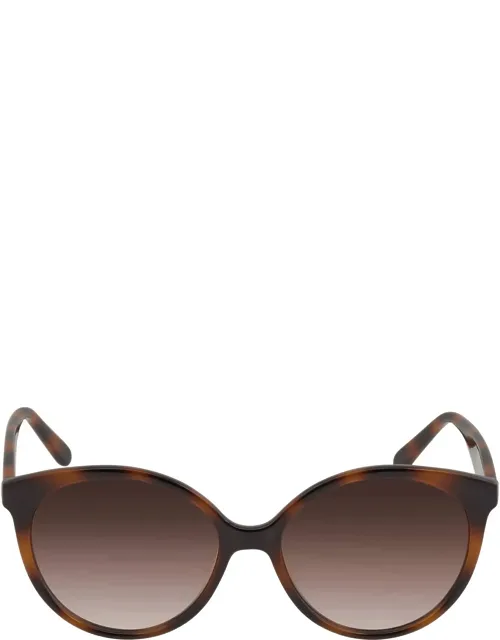 Brown Gradient Round Sunglasses