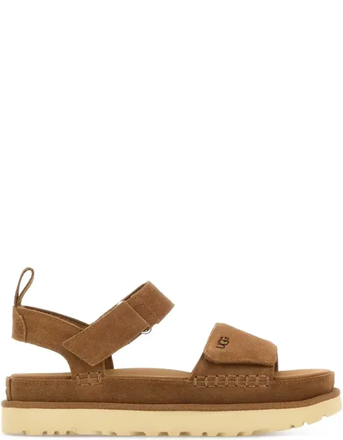 Biscuit Suede Goldenstar Sandals