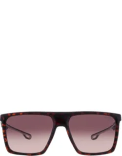 Brown Shaded Square Sunglasses 4019/s 0086/ha