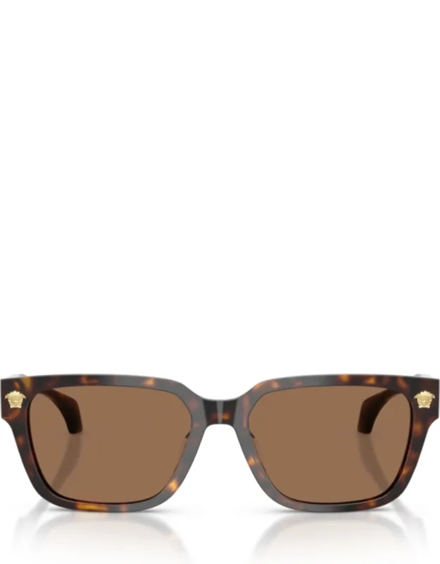 Rectangular Tortoiseshell Acetate Sunglasses