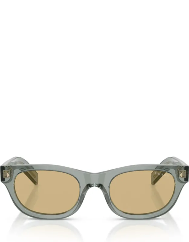 Translucent Acetate Rectangular Sunglasses