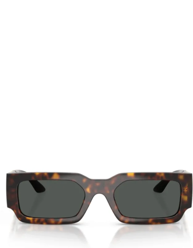 Tortoiseshell Sunglasses