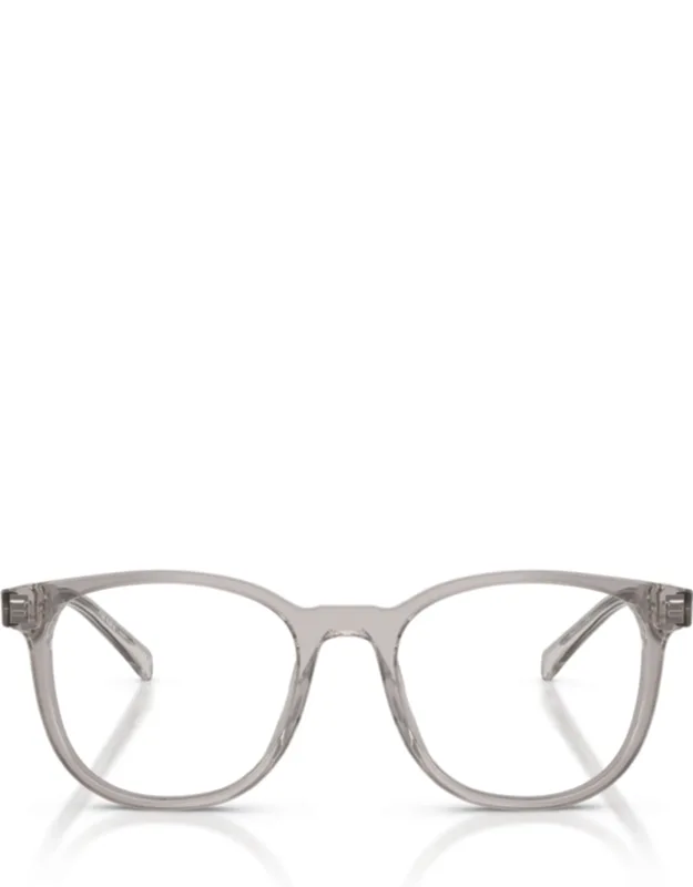 Translucent Acetate Sunglasses