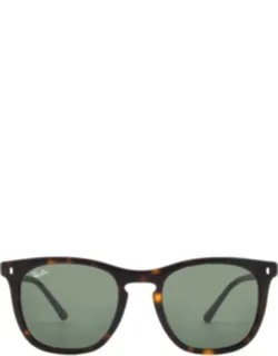 Ray Ban Green Square Sunglasses Rb2210 53 Mm Lens Width, 21 Mm Lens Bridge