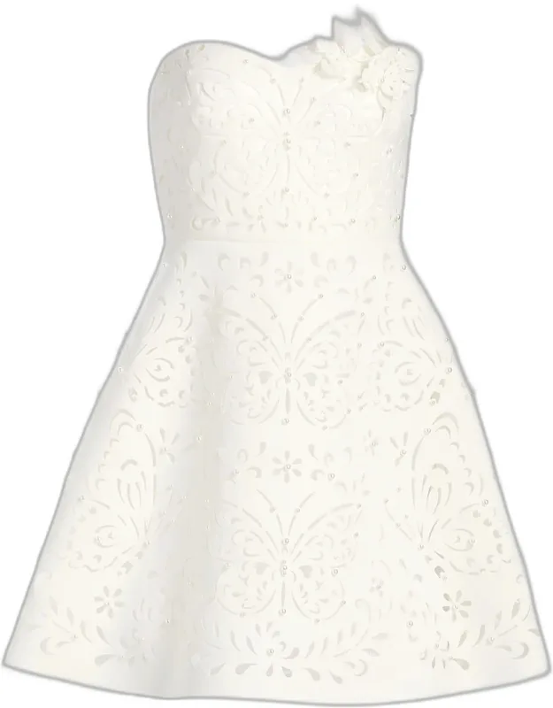 3d Floral A-line Mini Dress