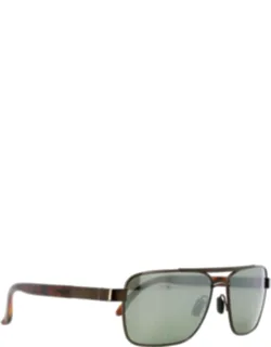 Envy Sunglasses