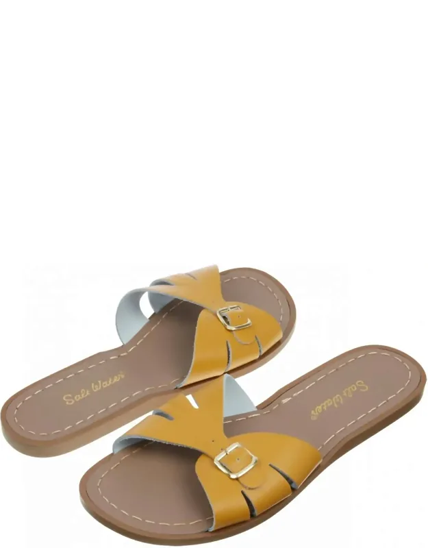 Classic Slides