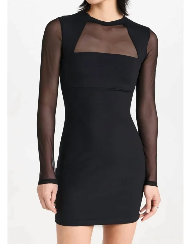 Mesh Crew Long Sleeve Mini Dress