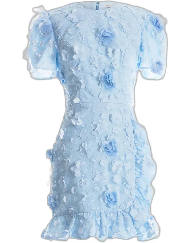 Embroidered Floral Applique Mini Dress