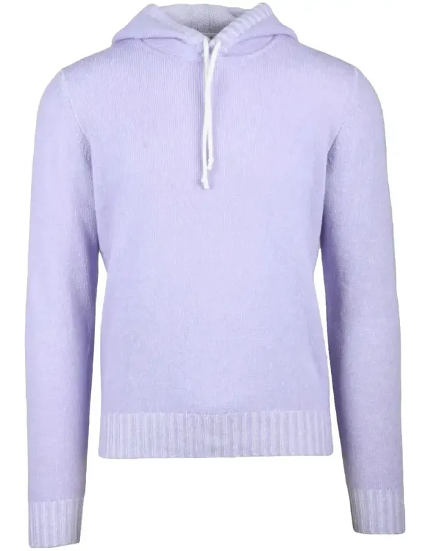 Wisteria Virgin Wool Hooded Sweater