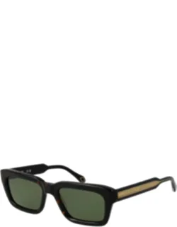 Acetate Sunglasses