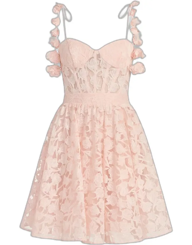 Floral Lace Bustier Fit-and-flare Mini Dress