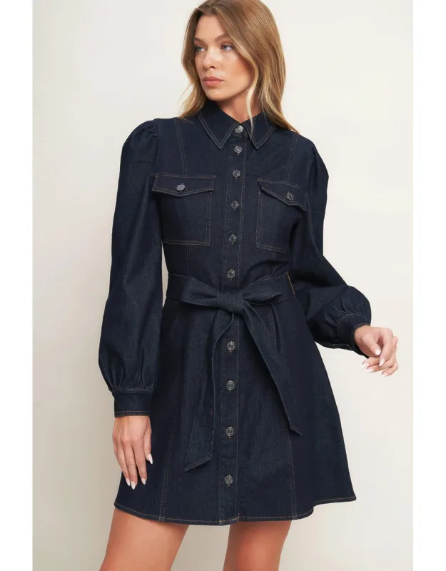 Holiday Denim Mini Dress