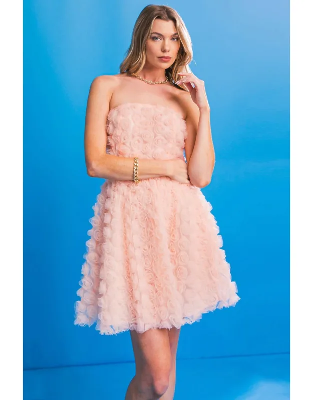 Lost In A Dream Applique Mini Dress