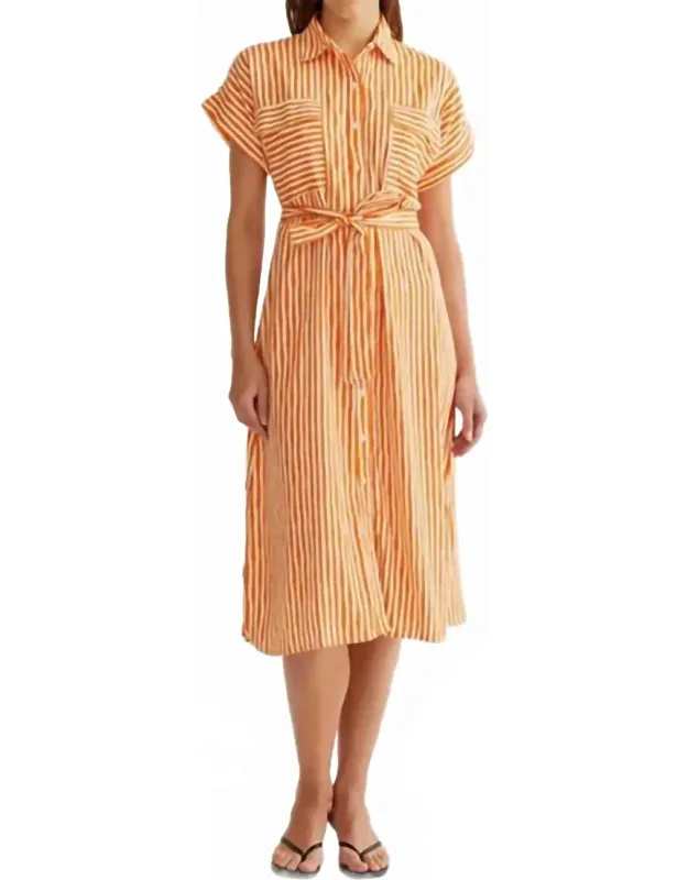 Stripe Shirt Dress