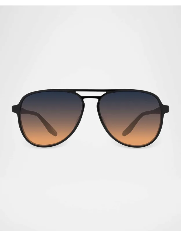 Hartmann Acetate Aviator Sunglasses