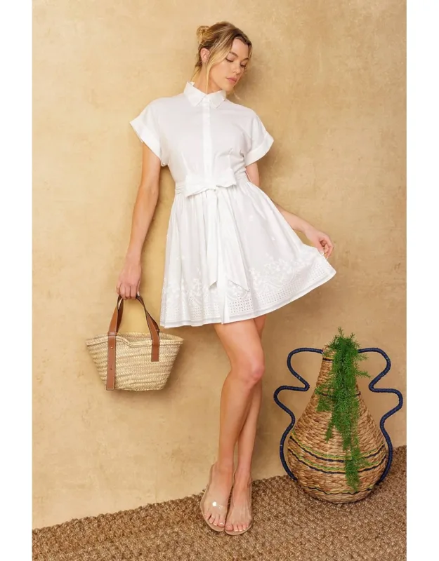 Feel The Vibe Woven Mini Dress With Shirt Collar And Embroidered Skirt