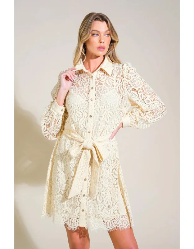 Adore You Lace Mini Dress