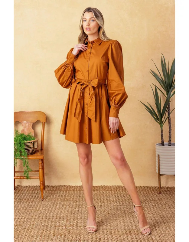 Eatons Neck Woven Mini Dress With Shirt Collar And Elasticized Waist