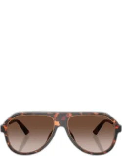 Molokai Sunglass