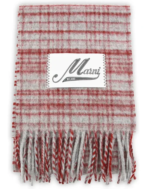 Check Fringed Scarf