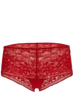 Lace High Waist Brief