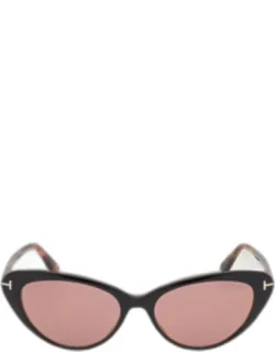 Harlow Acetate Cat-eye Sunglass