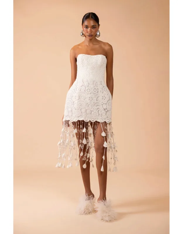 Embroidered Fringe Mini Dress