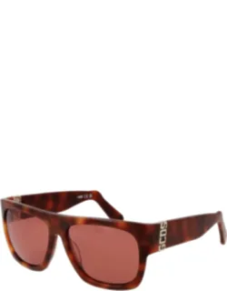 Acetate Sunglasses