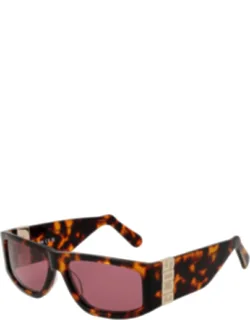 Acetate Sunglasses