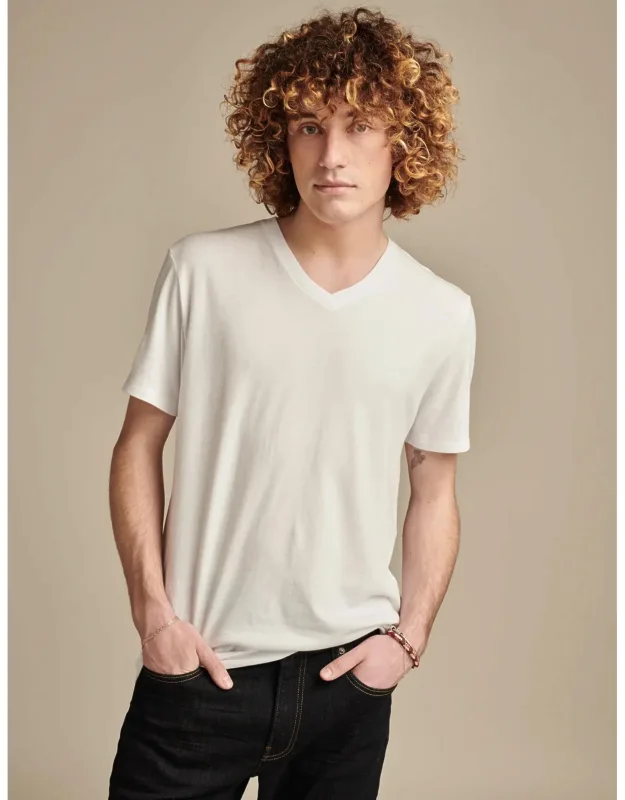 Venice Burnout V Neck Tee