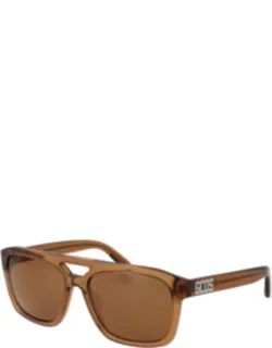 Plastic Sunglasses