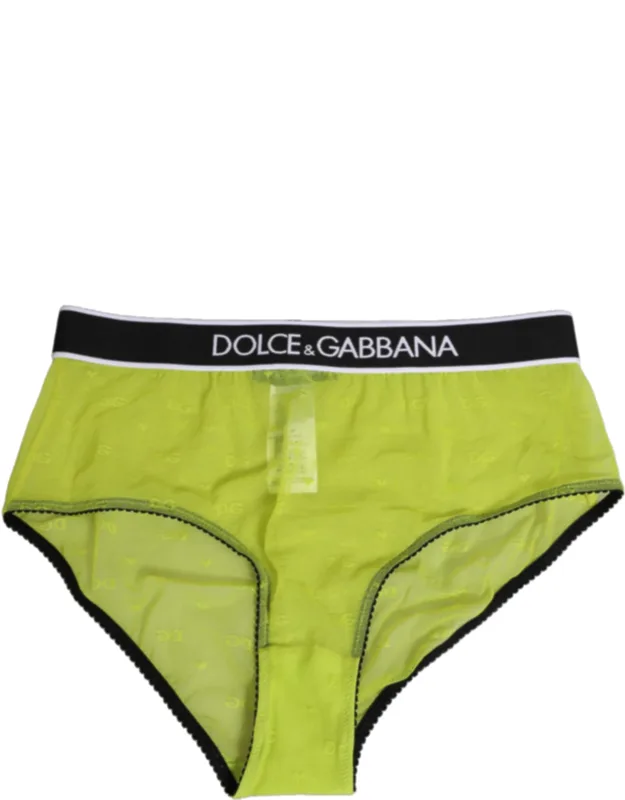 Nylon Logo Waistband Brief Panty Underwear