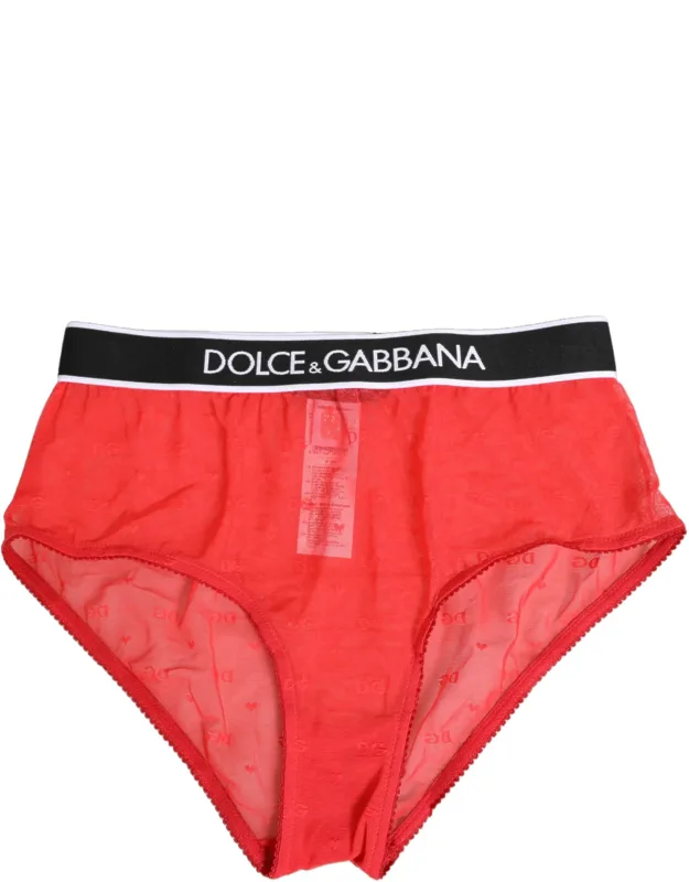Nylon Logo Waistband Brief Panty Underwear