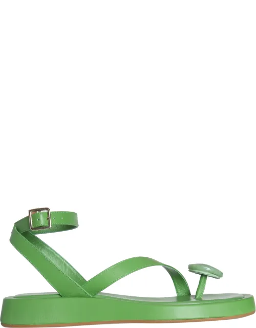 Gia Borghini Rosie 18 Sandals With Adjustable Ankle Buckle And Padded Footbed