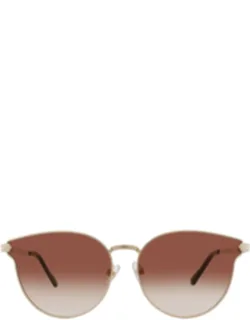 Oval Sunglasses