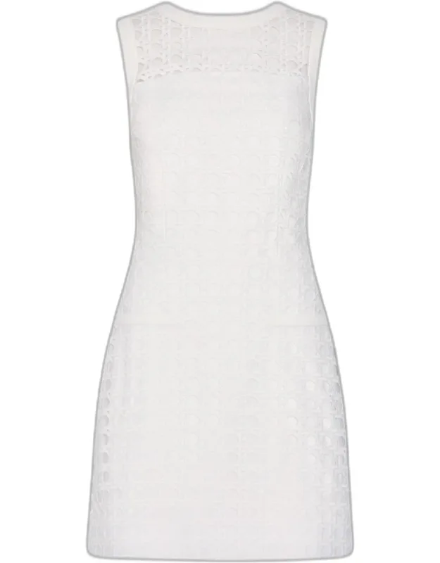 Moira Sleeveless Lace Mini Dress